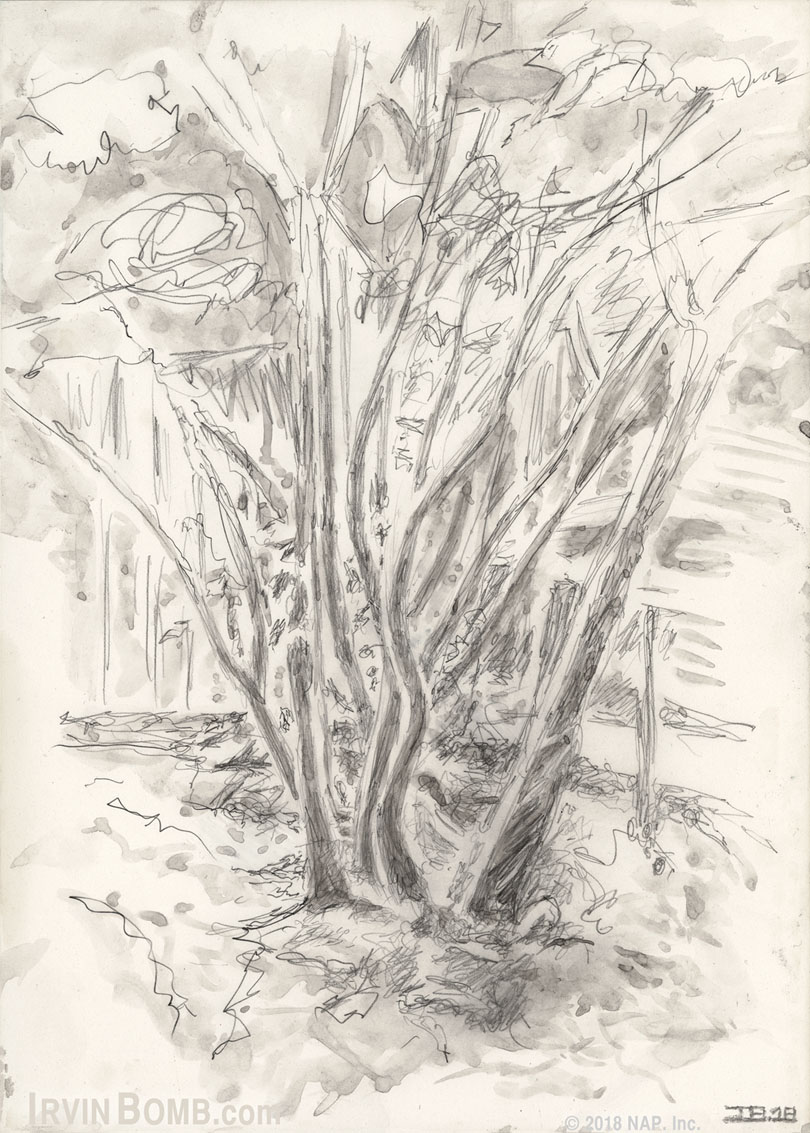 Trees (Plein-Air)